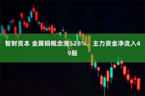 智财资本 金属铜概念涨528%，主力资金净流入49股